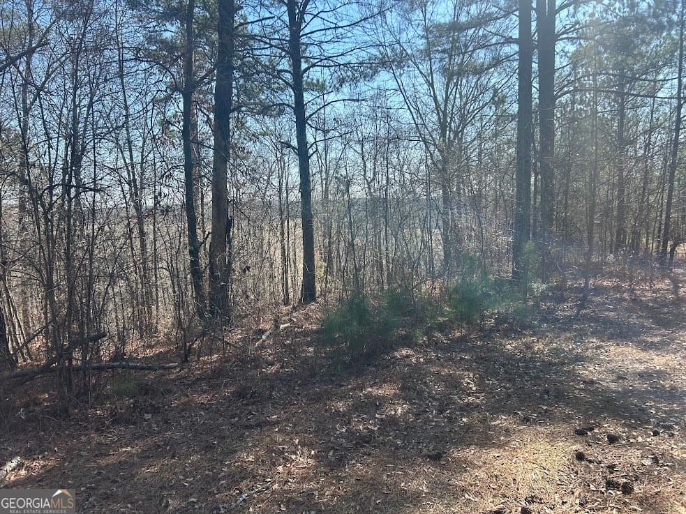 agriculture for sale at 114 River Cove (TRACT 16), Carrollton, GA 30117 — photo 7