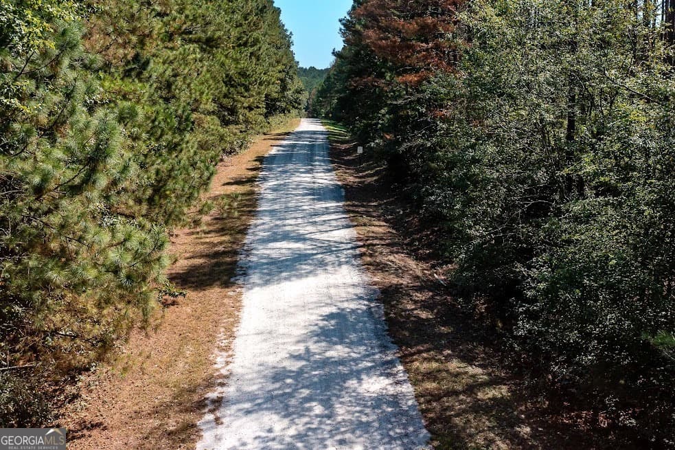 agriculture for sale at 114 River Cove (TRACT 16), Carrollton, GA 30117 — photo 9