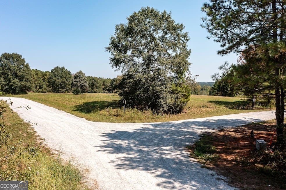agriculture for sale at 114 River Cove (TRACT 16), Carrollton, GA 30117 — photo 10