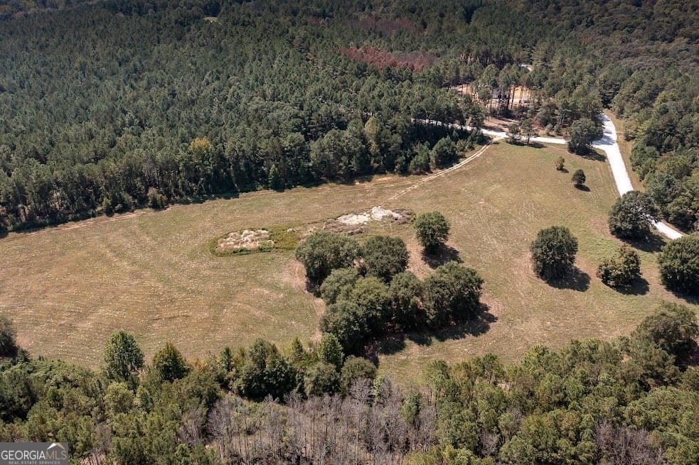 agriculture for sale at 114 River Cove (TRACT 16), Carrollton, GA 30117 — photo 4