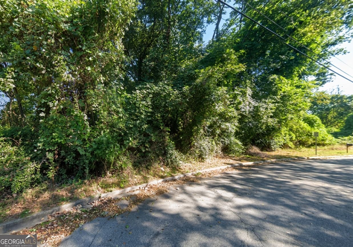 commercial for sale at 7086 McDaniel Street, Lithonia, GA 30058 — photo 2