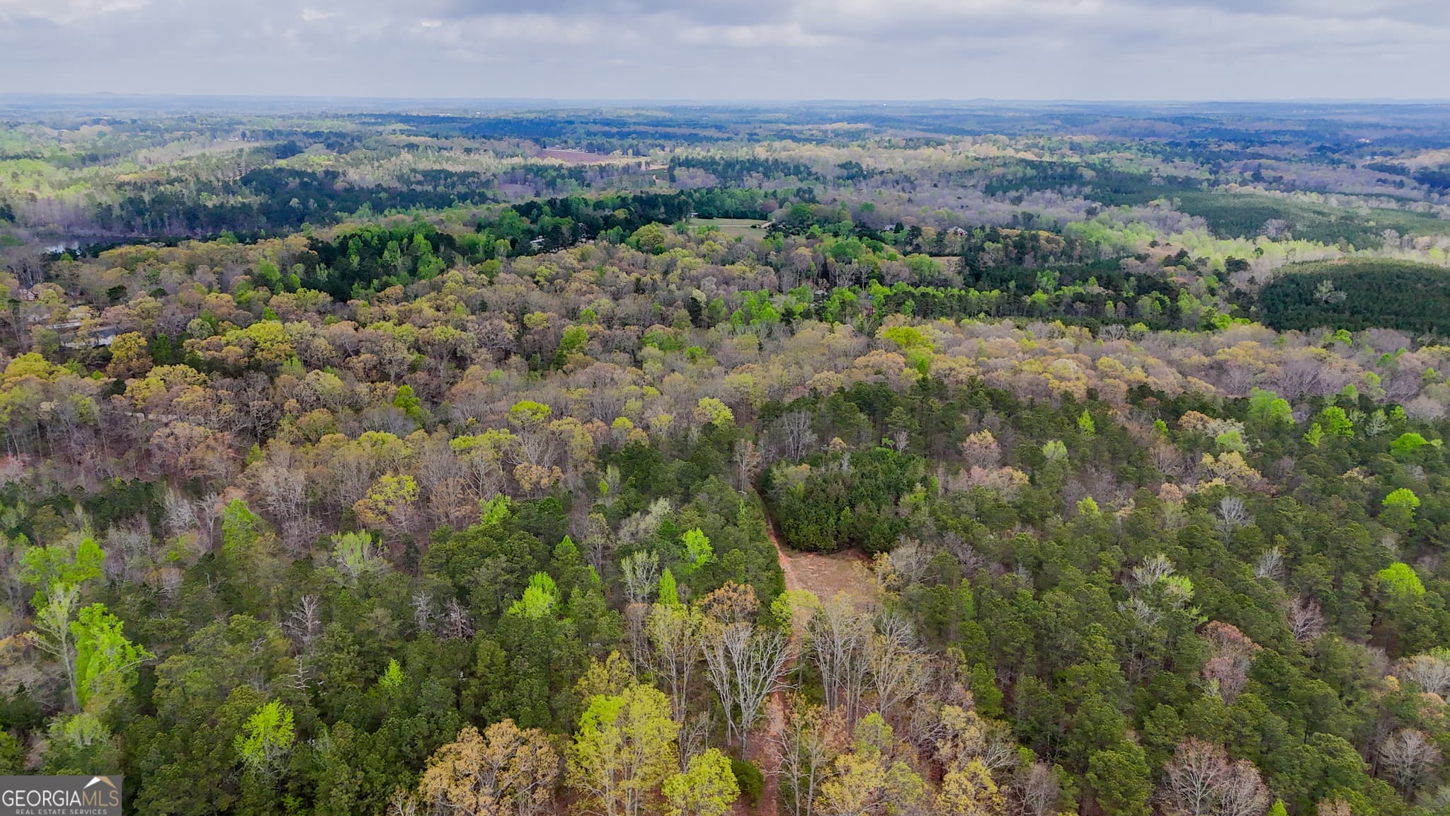 unimproved land for sale at 78 ACRES Cross Plains Road, Carrollton, GA 30116 — photo 6
