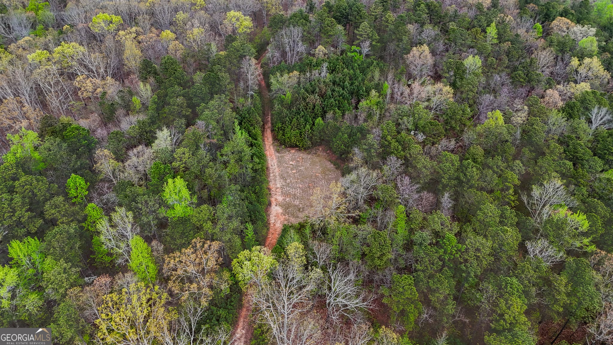 unimproved land for sale at 78 ACRES Cross Plains Road, Carrollton, GA 30116 — photo 7