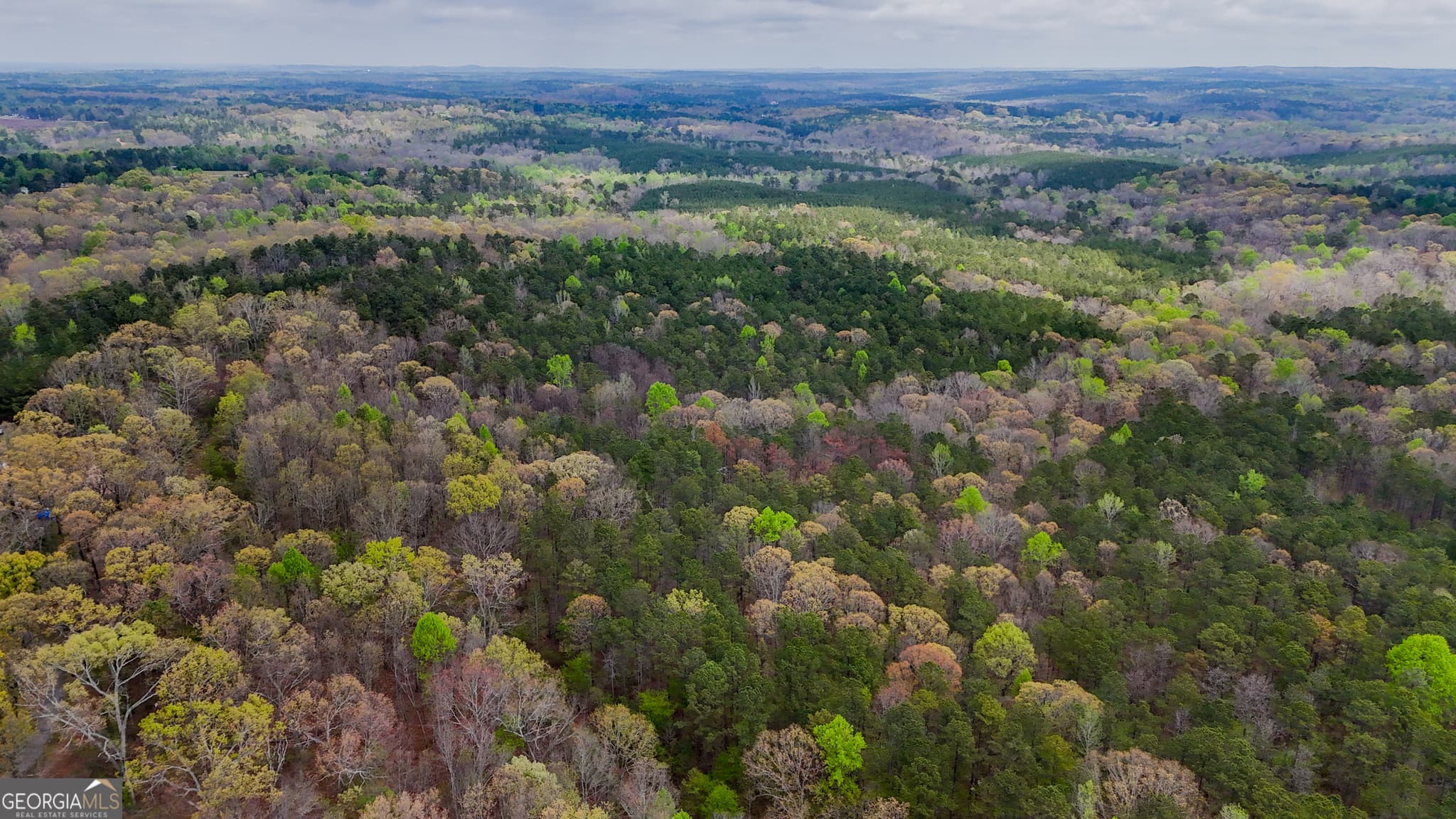 unimproved land for sale at 78 ACRES Cross Plains Road, Carrollton, GA 30116 — photo 3