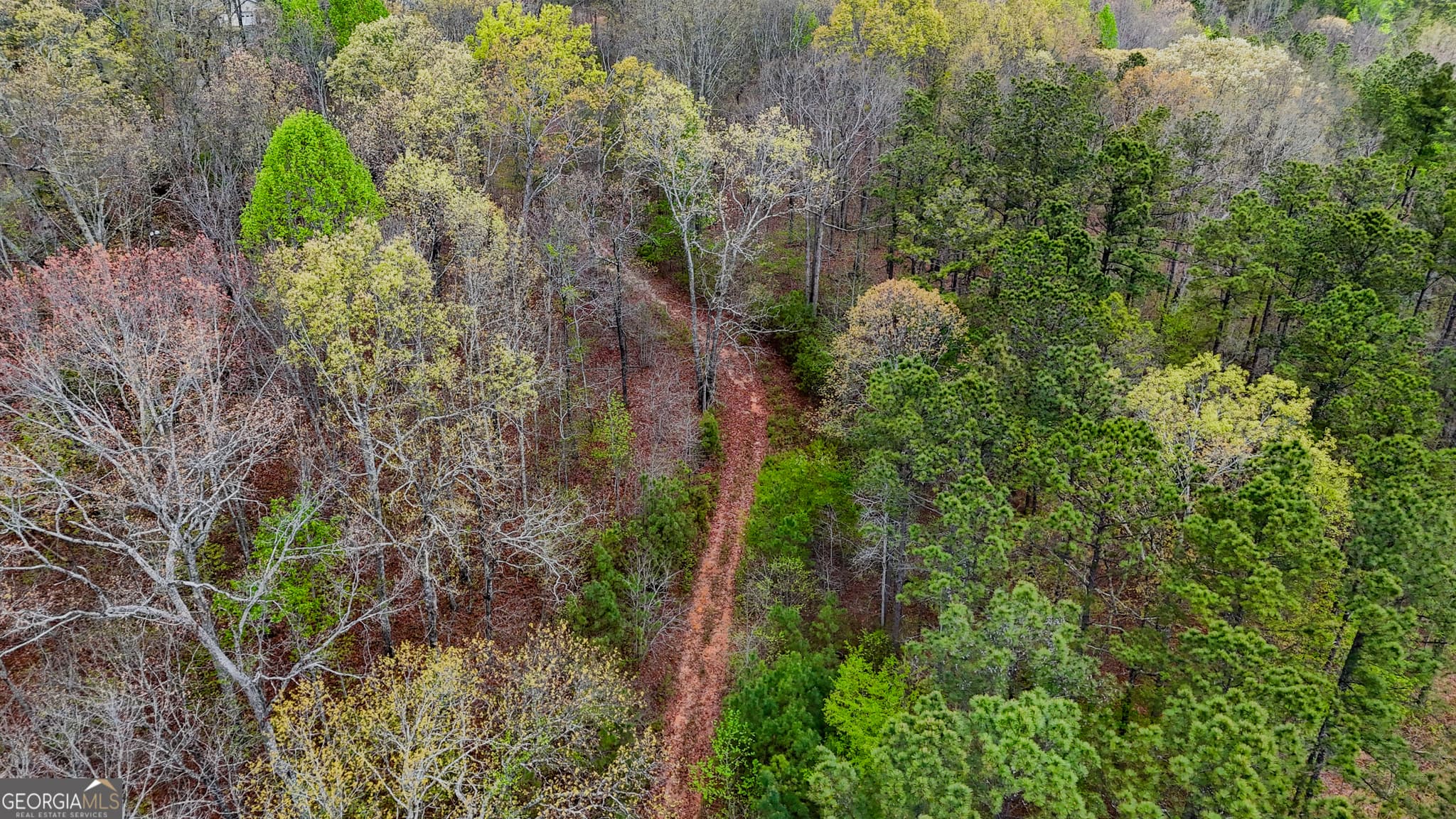 unimproved land for sale at 78 ACRES Cross Plains Road, Carrollton, GA 30116 — photo 1 of 13