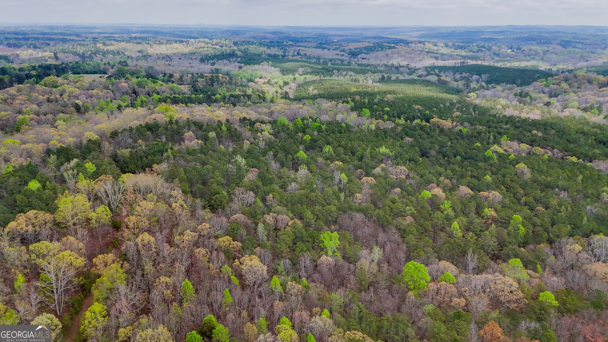 unimproved land for sale at 78 ACRES Cross Plains Road, Carrollton, GA 30116 — photo 5