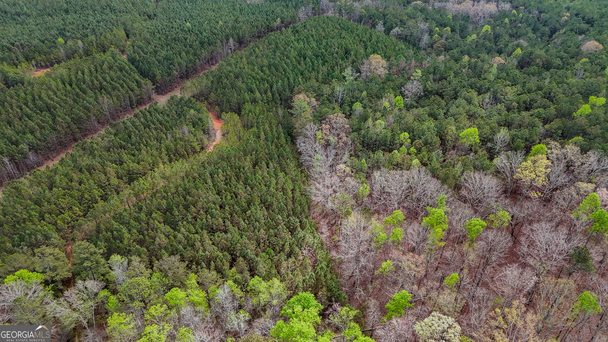 unimproved land for sale at 78 ACRES Cross Plains Road, Carrollton, GA 30116 — photo 10