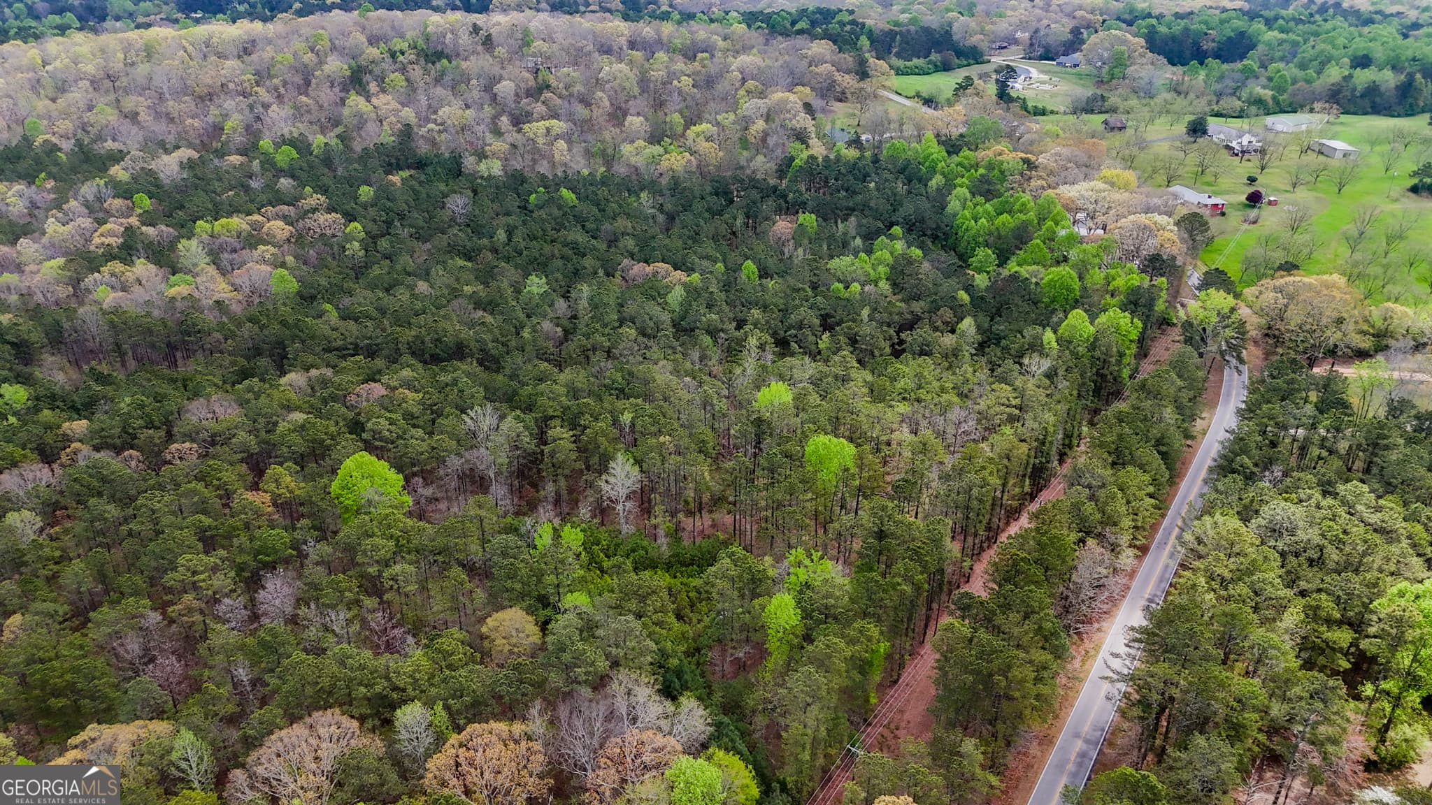 unimproved land for sale at 78 ACRES Cross Plains Road, Carrollton, GA 30116 — photo 4