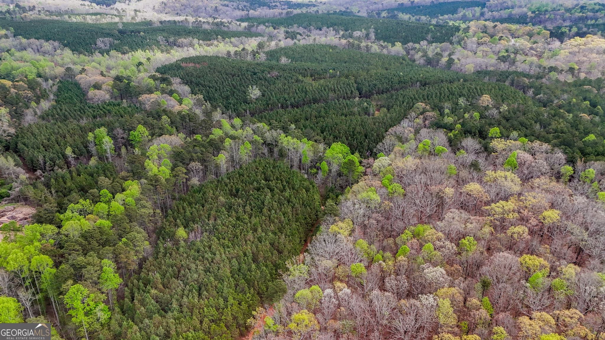 unimproved land for sale at 78 ACRES Cross Plains Road, Carrollton, GA 30116 — photo 8