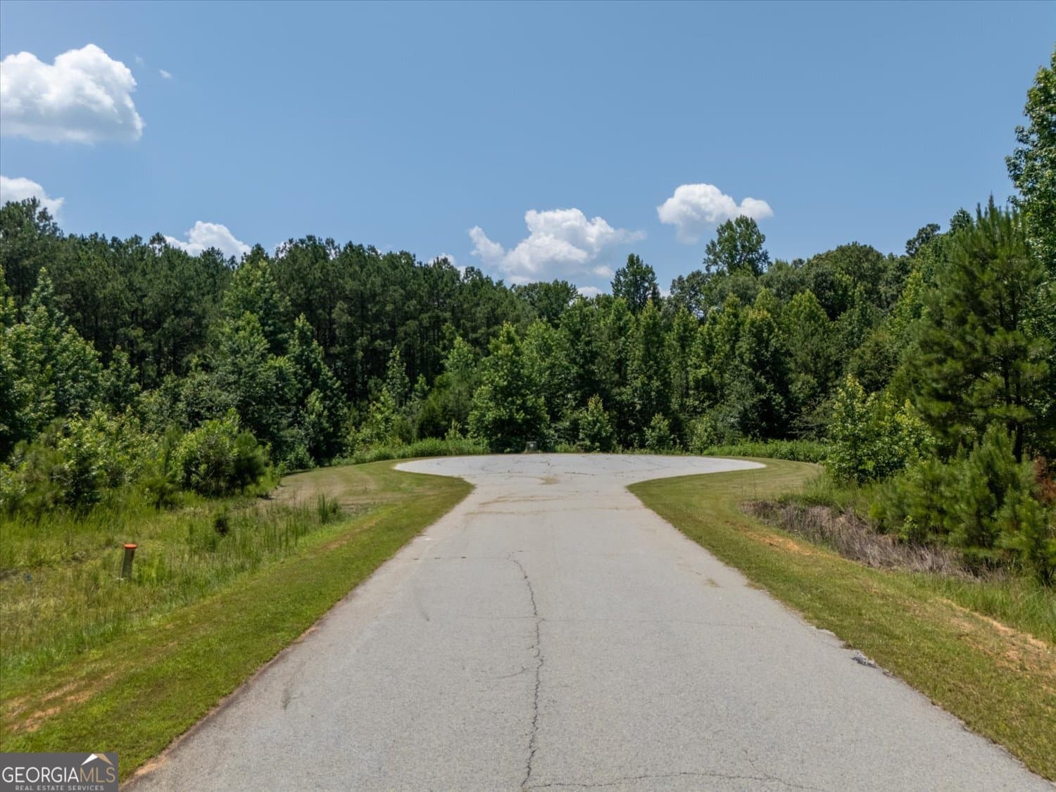 residential lot for sale at 1223 Edge Lane, Tignall, GA 30668 — photo 4
