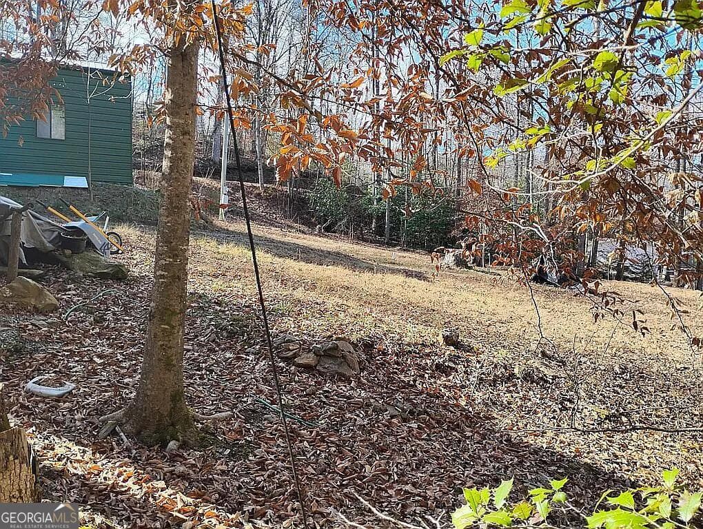 agriculture for sale at 4720 Jones Gap Road, Hiawassee, GA 30546 — photo 2