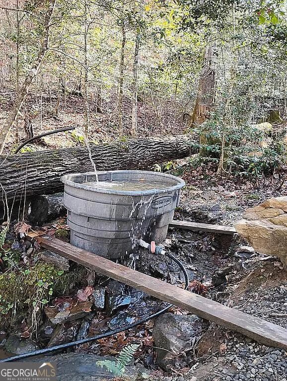 agriculture for sale at 4720 Jones Gap Road, Hiawassee, GA 30546 — photo 6