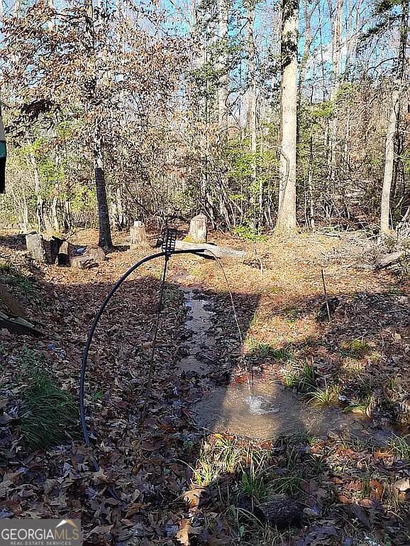 agriculture for sale at 4720 Jones Gap Road, Hiawassee, GA 30546 — photo 7
