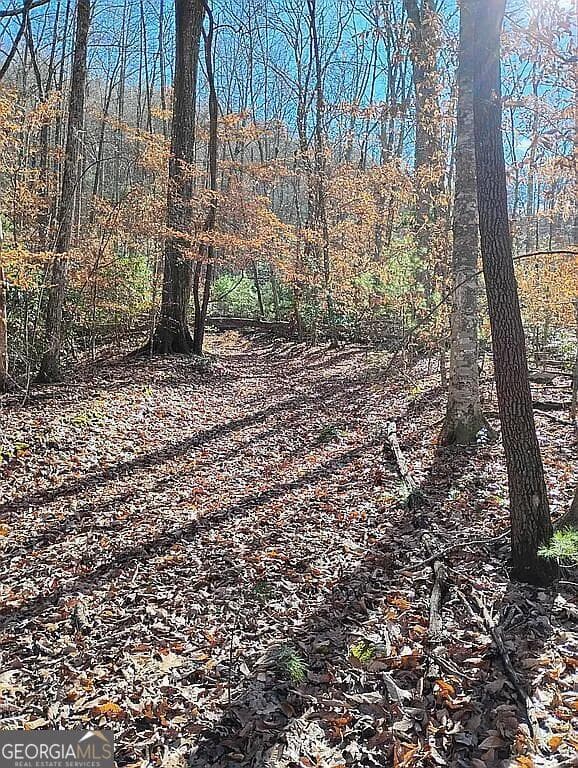 agriculture for sale at 4720 Jones Gap Road, Hiawassee, GA 30546 — photo 10