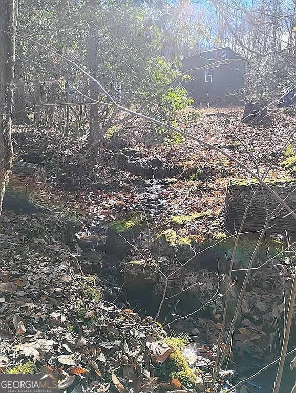 agriculture for sale at 4720 Jones Gap Road, Hiawassee, GA 30546 — photo 4