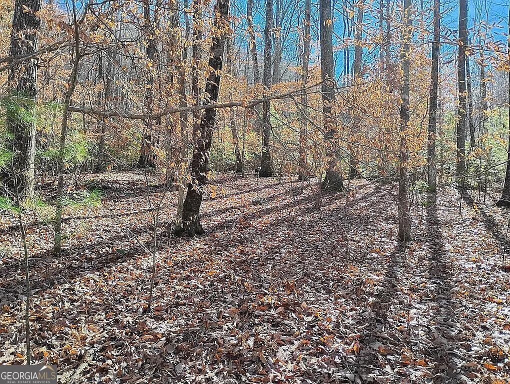 agriculture for sale at 4720 Jones Gap Road, Hiawassee, GA 30546 — photo 8