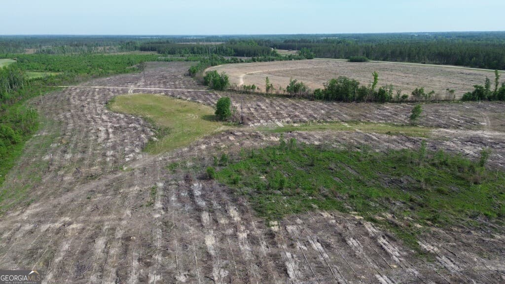 residential lot for sale at 0 Bunn Store Road TRACT 4, Midville, GA 30441 — photo 6