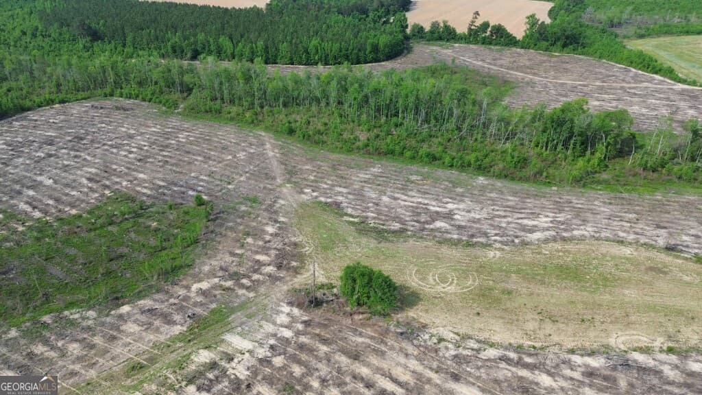 residential lot for sale at 0 Bunn Store Road TRACT 4, Midville, GA 30441 — photo 7