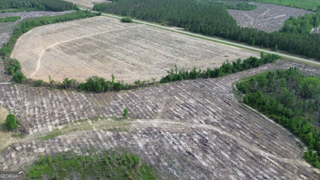 residential lot for sale at 0 Bunn Store Road TRACT 4, Midville, GA 30441 — photo 5