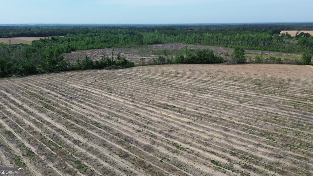 residential lot for sale at 0 Bunn Store Road TRACT 4, Midville, GA 30441 — photo 9