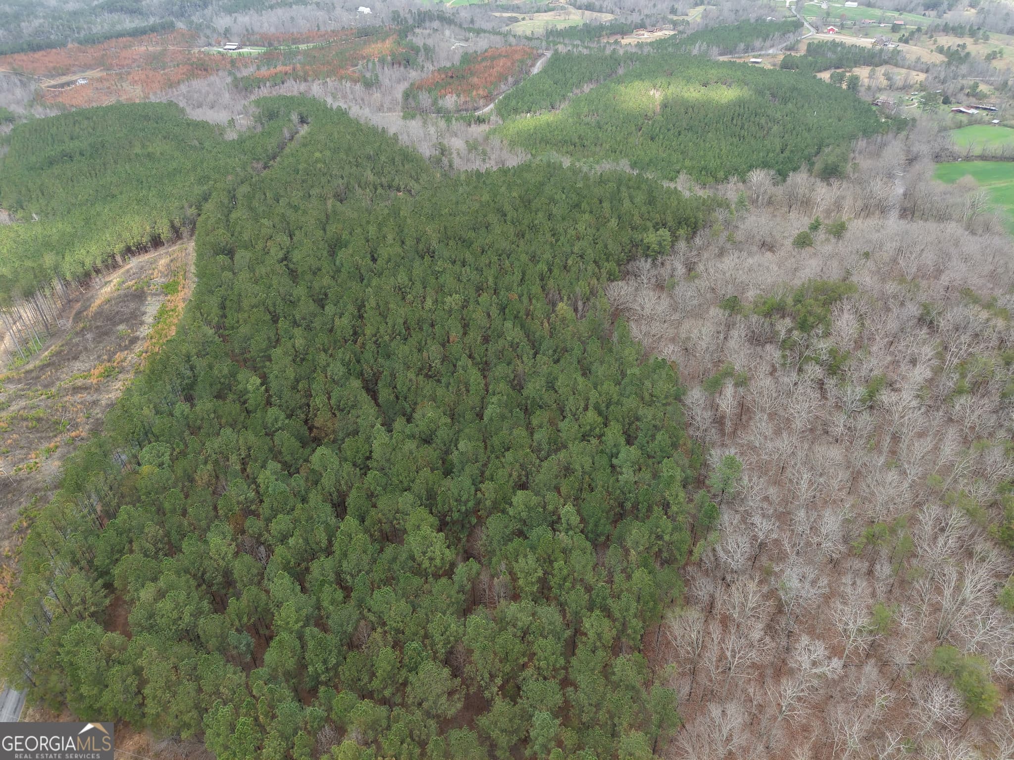 estate lot for sale at 0 Johnson Mountain Road 7402-B, Rydal, GA 30171 — photo 2