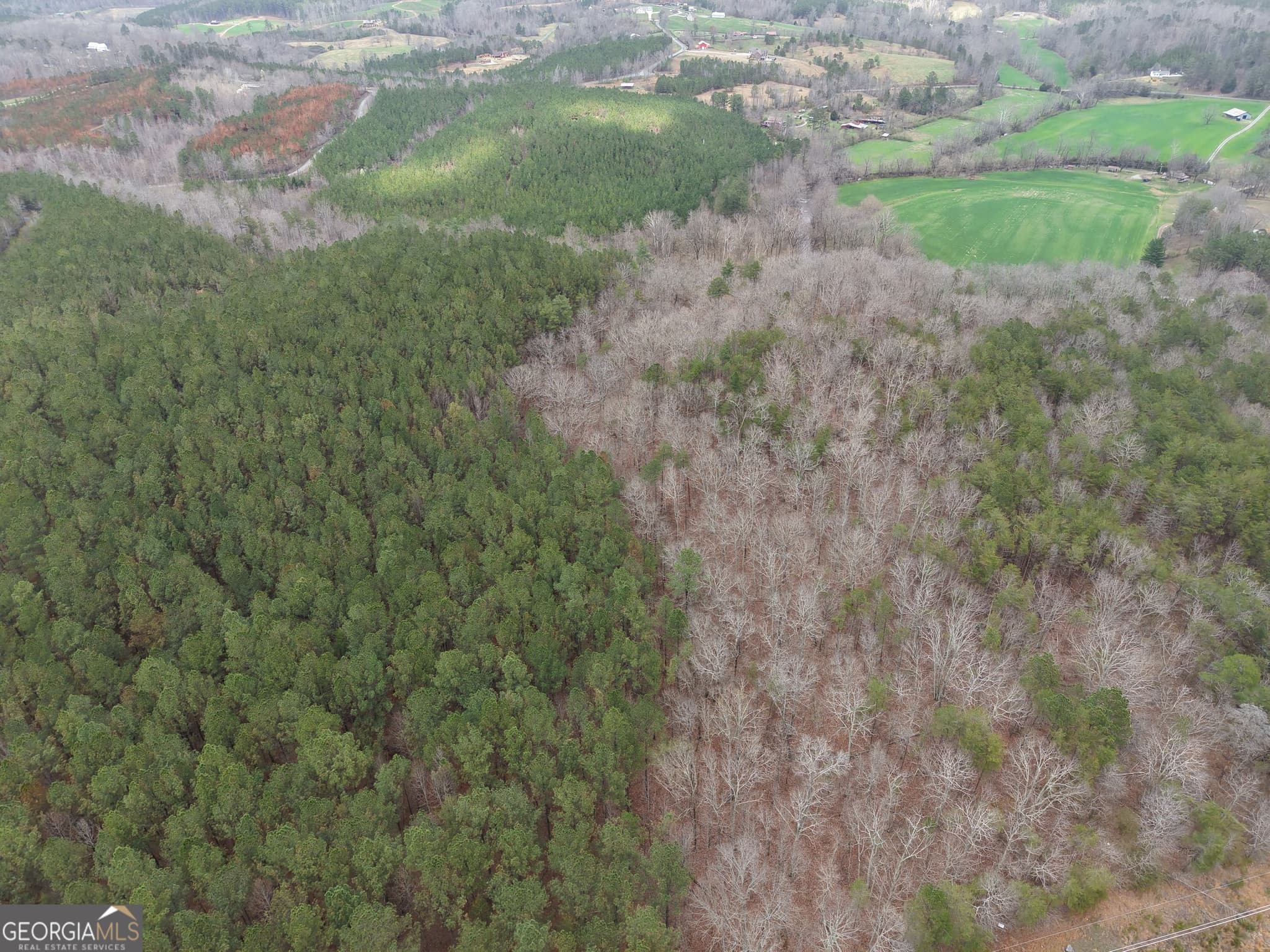 estate lot for sale at 0 Johnson Mountain Road 7402-B, Rydal, GA 30171 — photo 3