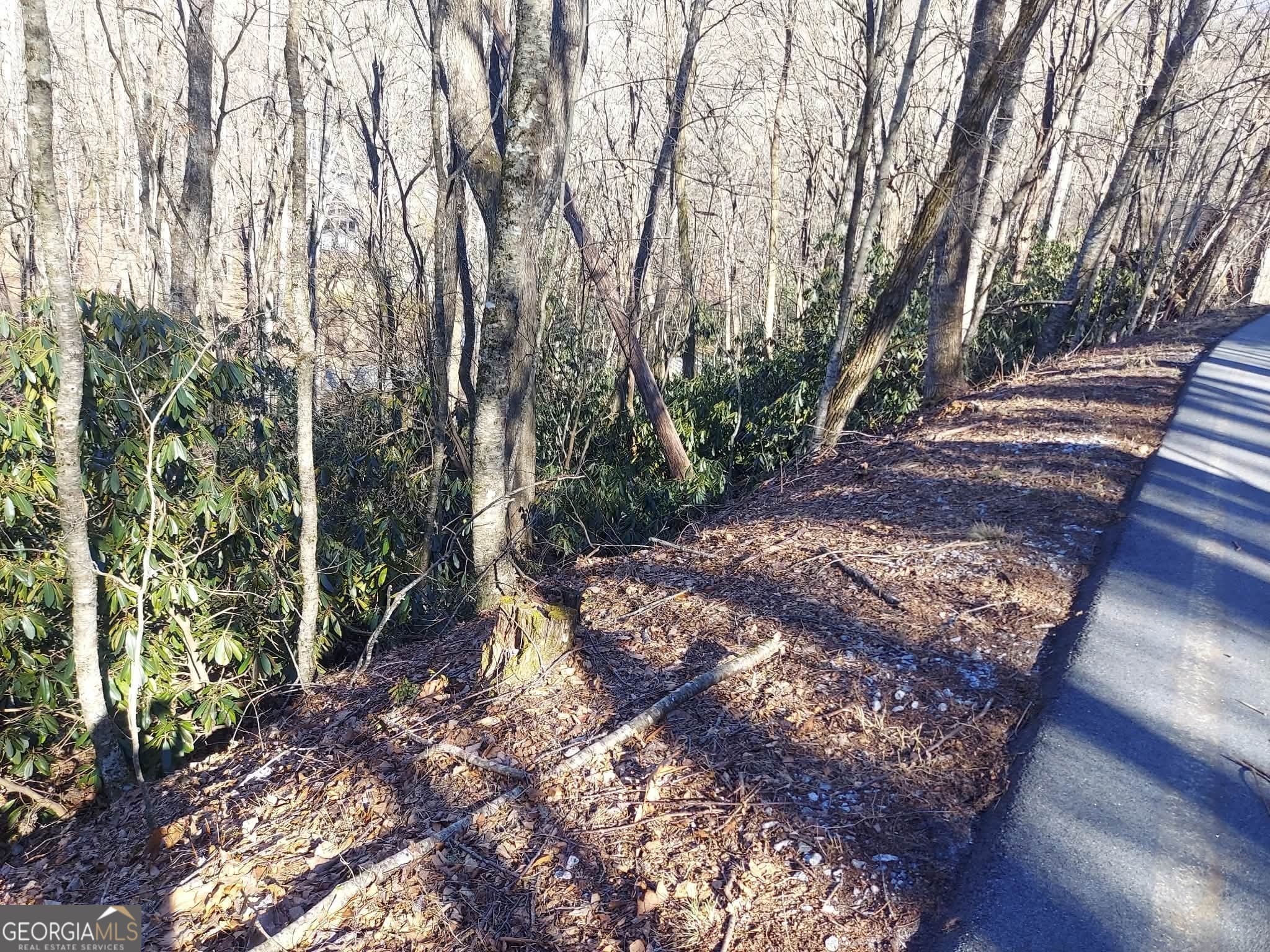 residential lot for sale at 0 LOT 41 Rebel Circle, Sky Valley, GA 30537 — photo 3