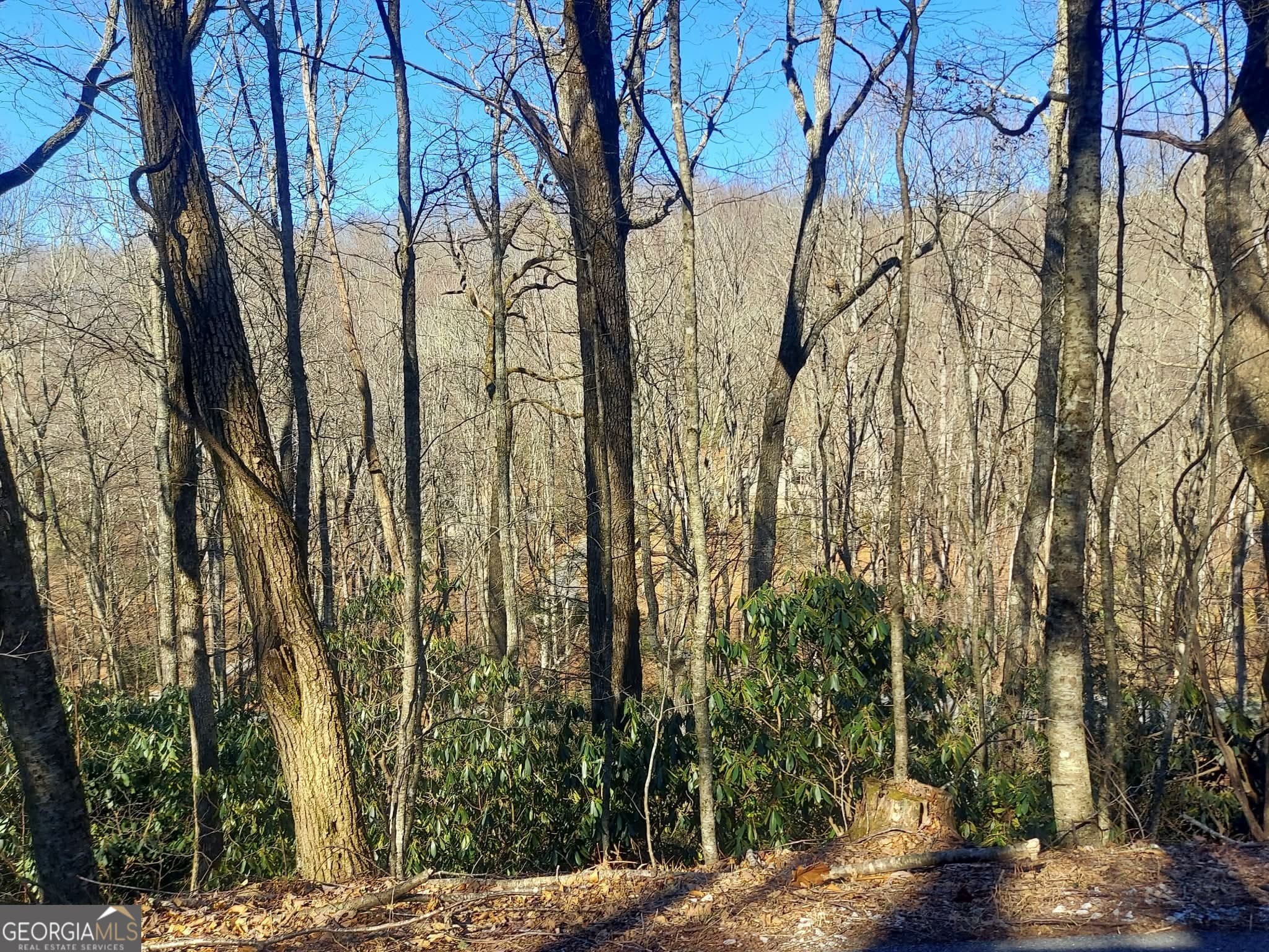 residential lot for sale at 0 LOT 41 Rebel Circle, Sky Valley, GA 30537 — photo 1 of 5