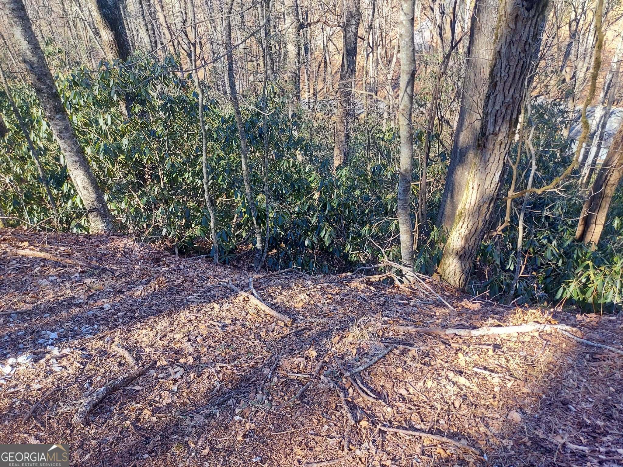 residential lot for sale at 0 LOT 41 Rebel Circle, Sky Valley, GA 30537 — photo 5
