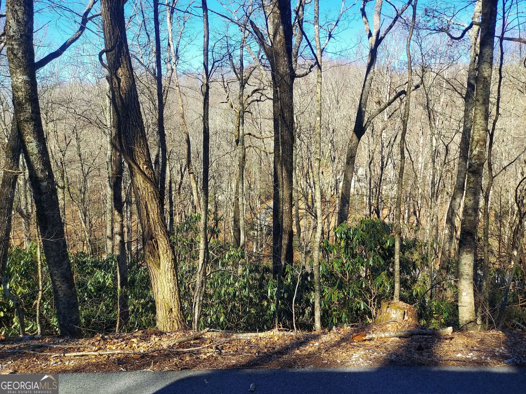 residential lot for sale at 0 LOT 41 Rebel Circle, Sky Valley, GA 30537 — photo 4