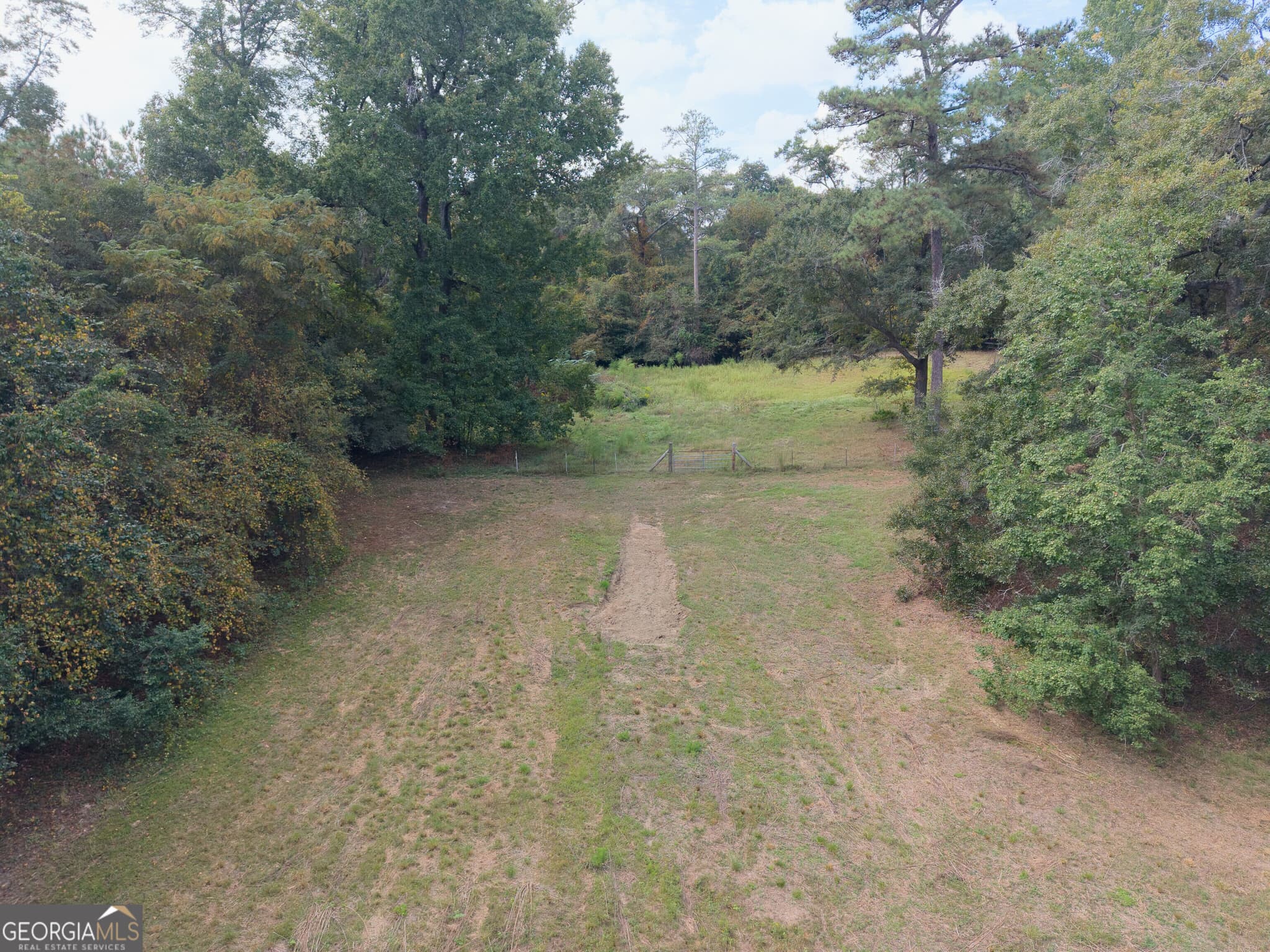 unimproved land for sale at 115 Lori Lane, Fort Valley, GA 31030 — photo 6