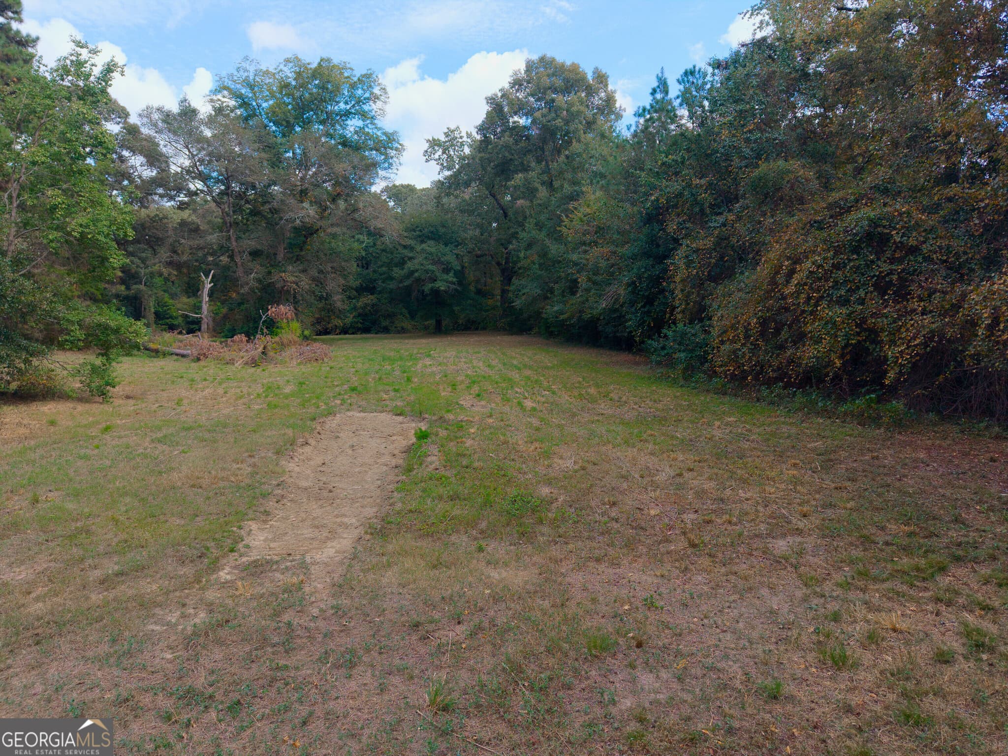 unimproved land for sale at 115 Lori Lane, Fort Valley, GA 31030 — photo 7