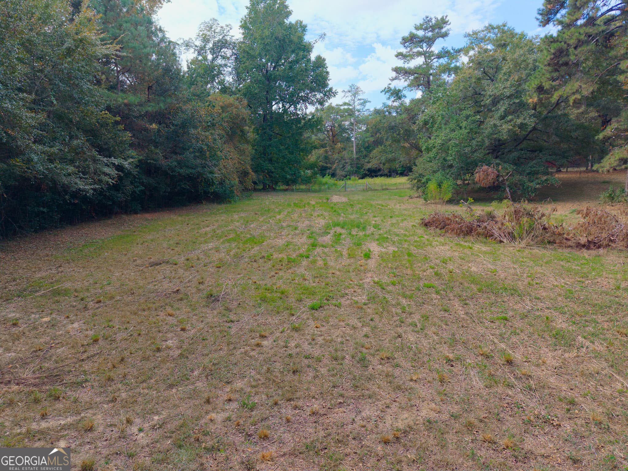 unimproved land for sale at 115 Lori Lane, Fort Valley, GA 31030 — photo 5
