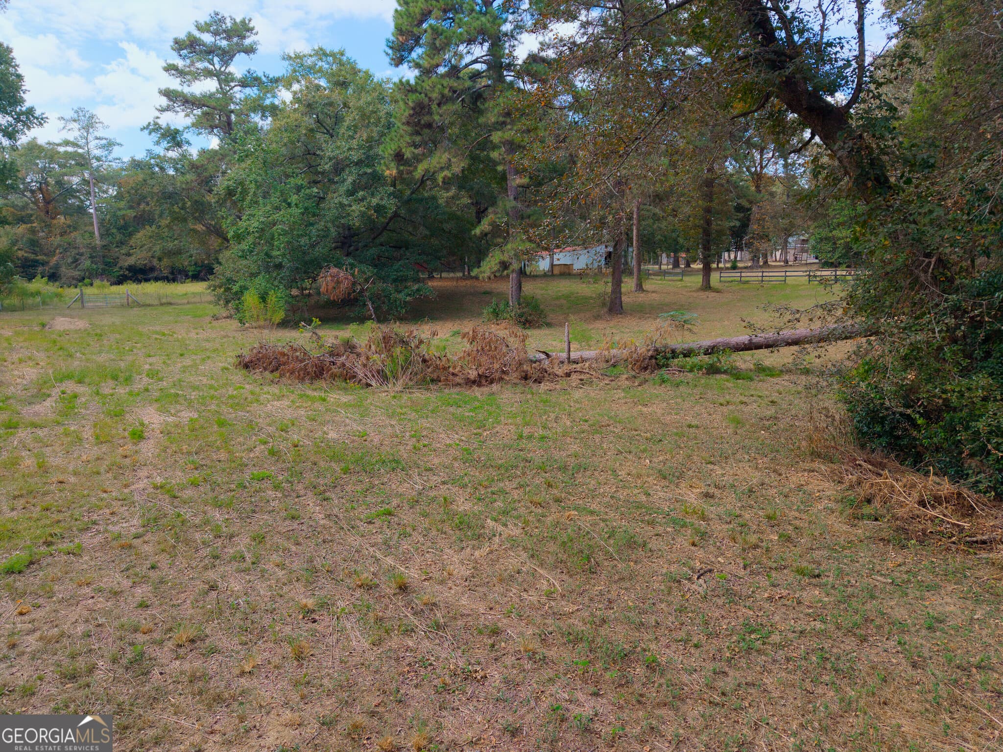unimproved land for sale at 115 Lori Lane, Fort Valley, GA 31030 — photo 4