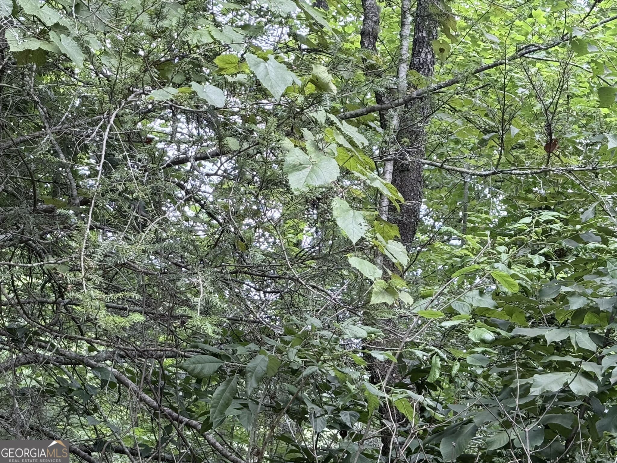 residential lot for sale at 0 Crystal Lake Road LOT 36, Mountain Rest, SC 29664 — photo 7