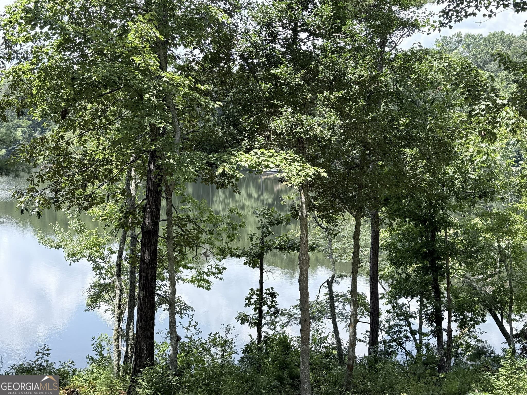 residential lot for sale at 0 Crystal Lake Road LOT 36, Mountain Rest, SC 29664 — photo 8