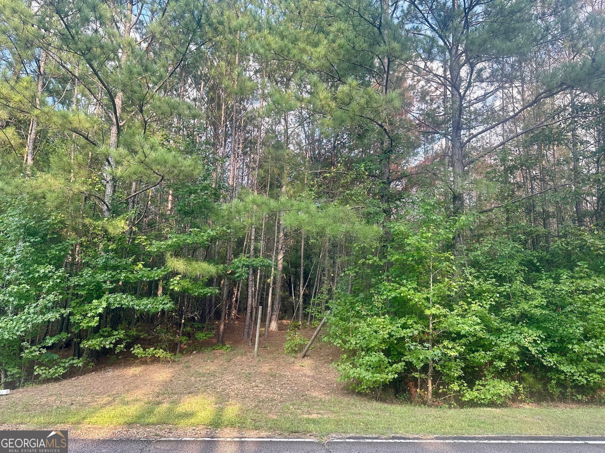 residential lot for sale at 0 TRACT B Cool Springs Road, Winston, GA 30187 — photo 7