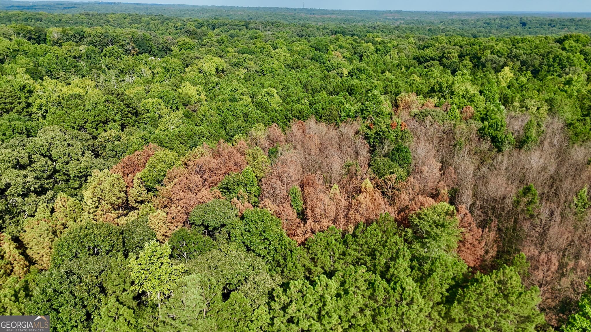 residential lot for sale at 0 TRACT B Cool Springs Road, Winston, GA 30187 — photo 3