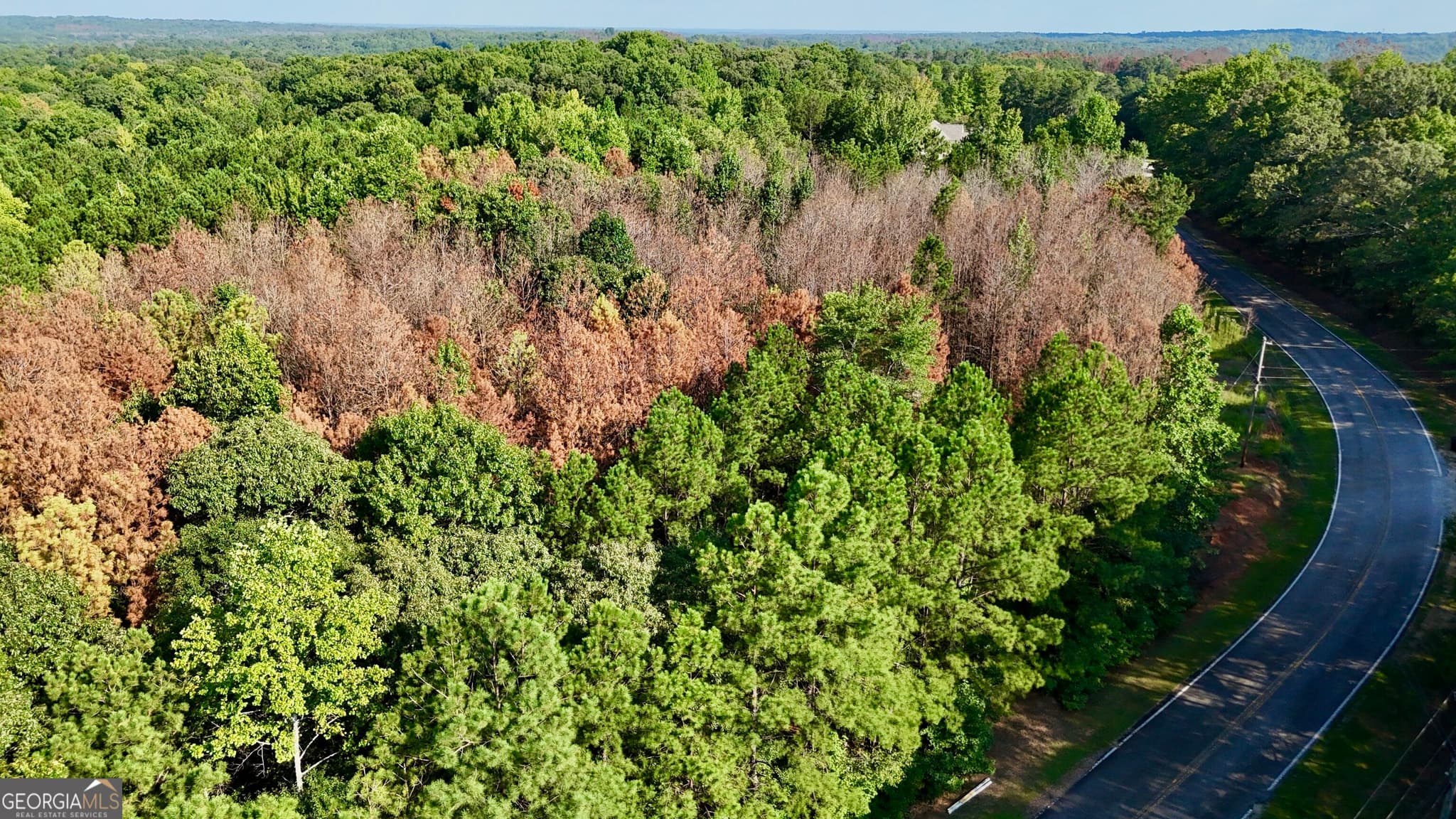 residential lot for sale at 0 TRACT B Cool Springs Road, Winston, GA 30187 — photo 1 of 16