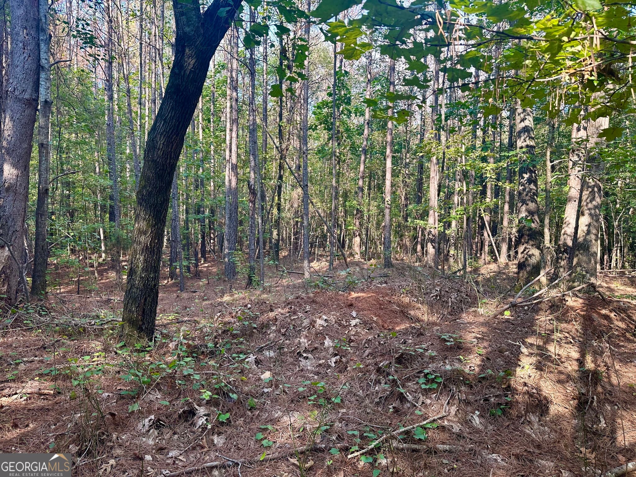 residential lot for sale at 0 TRACT B Cool Springs Road, Winston, GA 30187 — photo 10