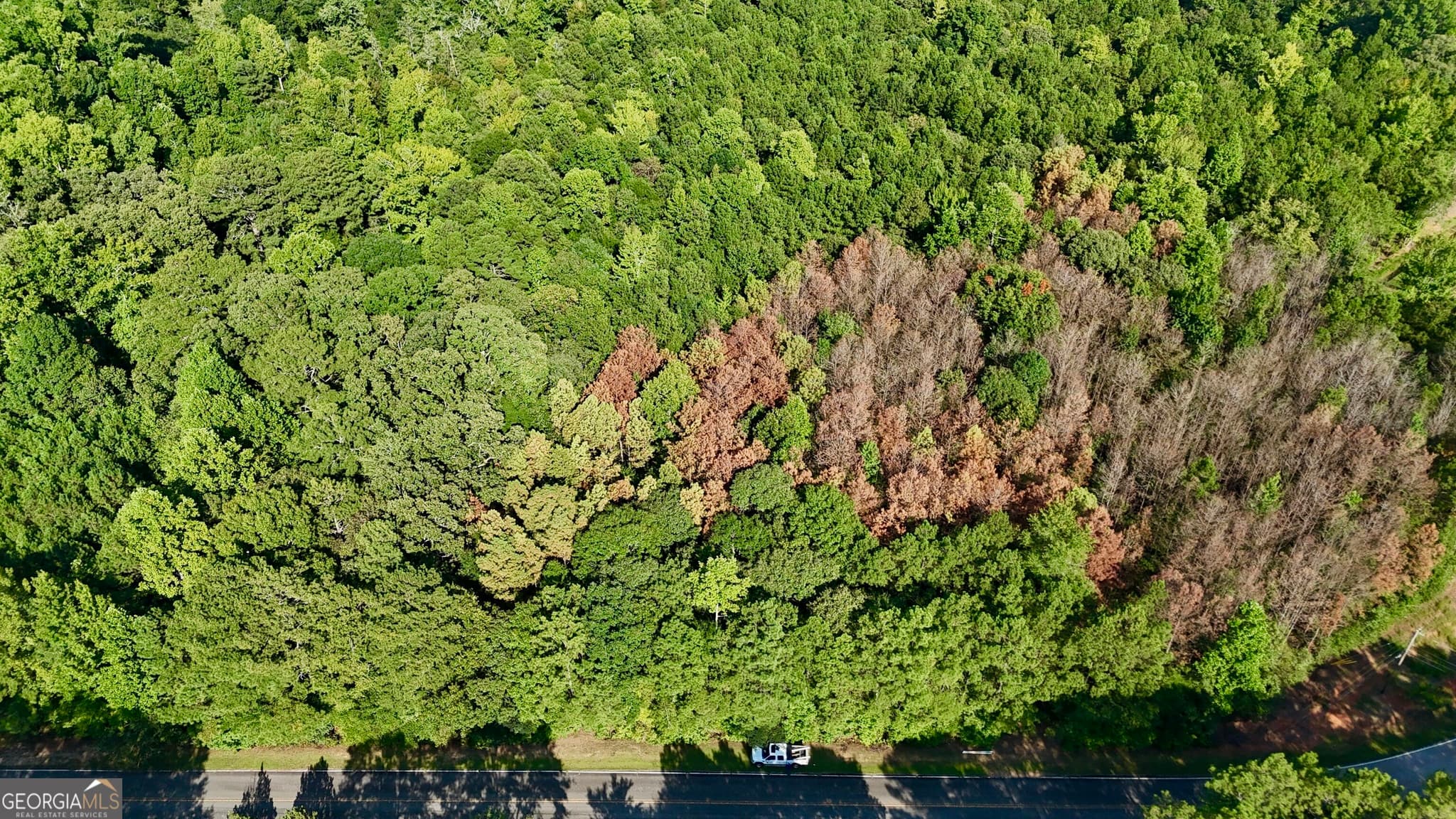 residential lot for sale at 0 TRACT B Cool Springs Road, Winston, GA 30187 — photo 4