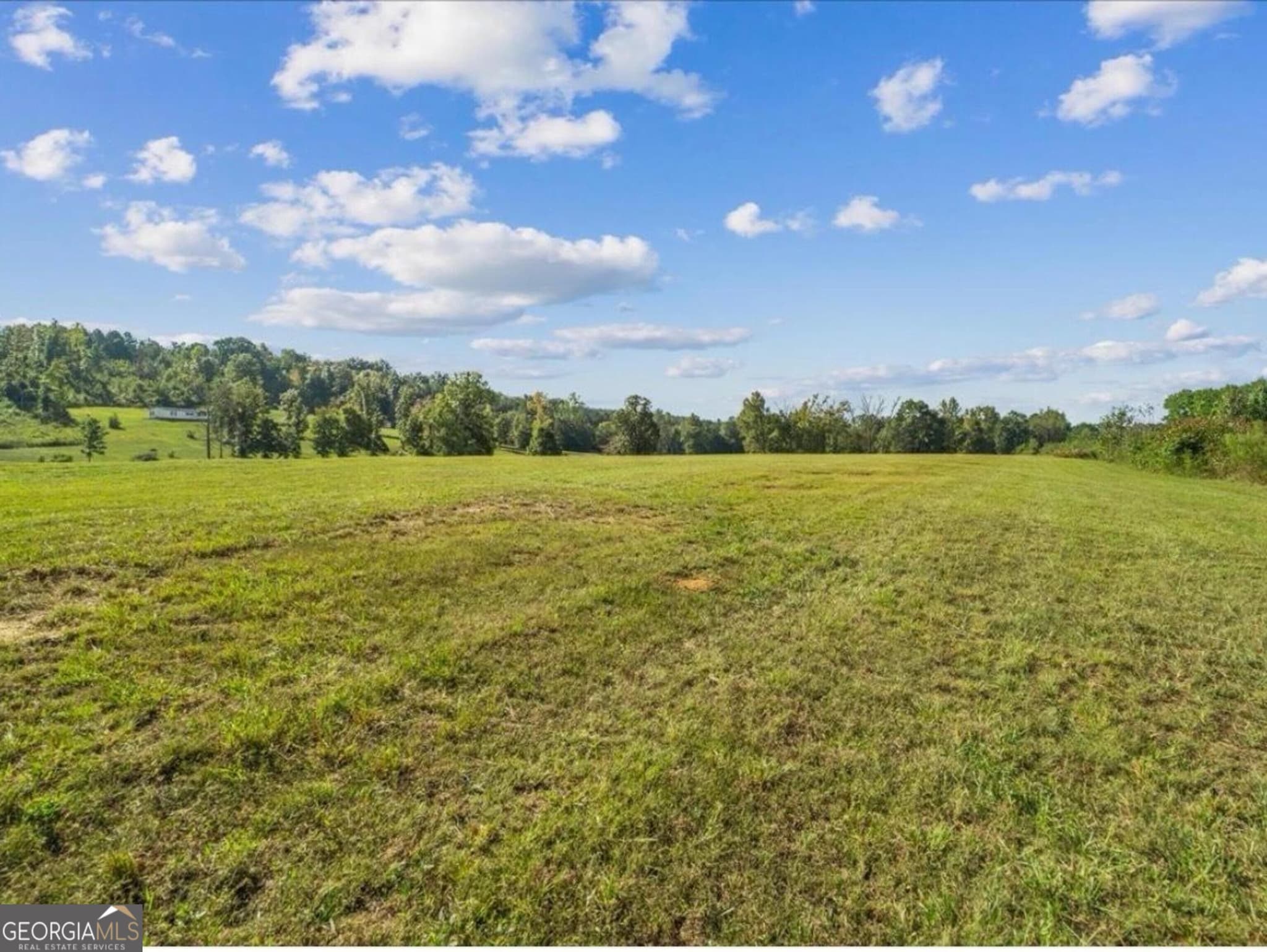 agriculture for sale at 0 Cox Road, Summerville, GA 30747 — photo 6