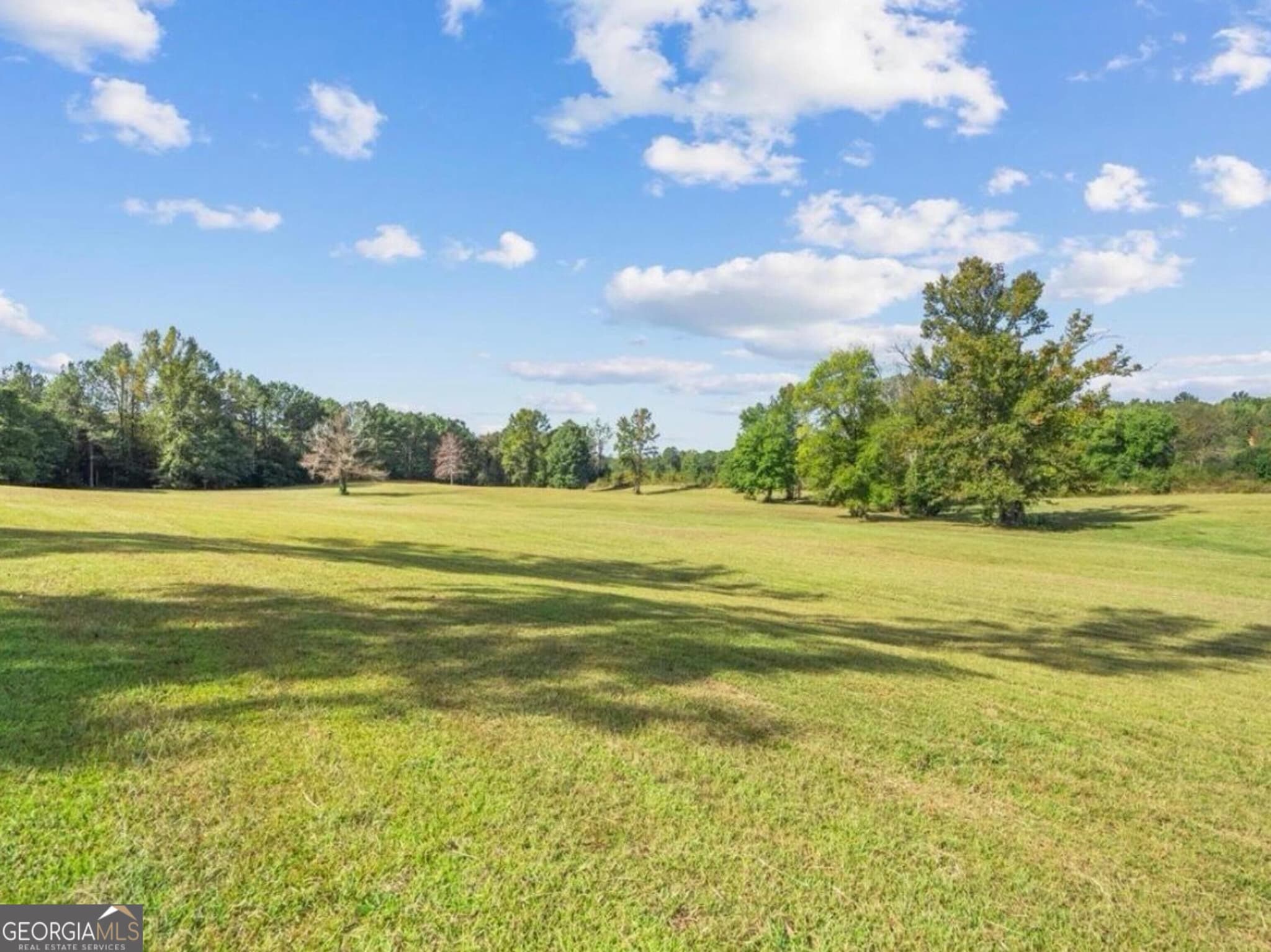 agriculture for sale at 0 Cox Road, Summerville, GA 30747 — photo 7