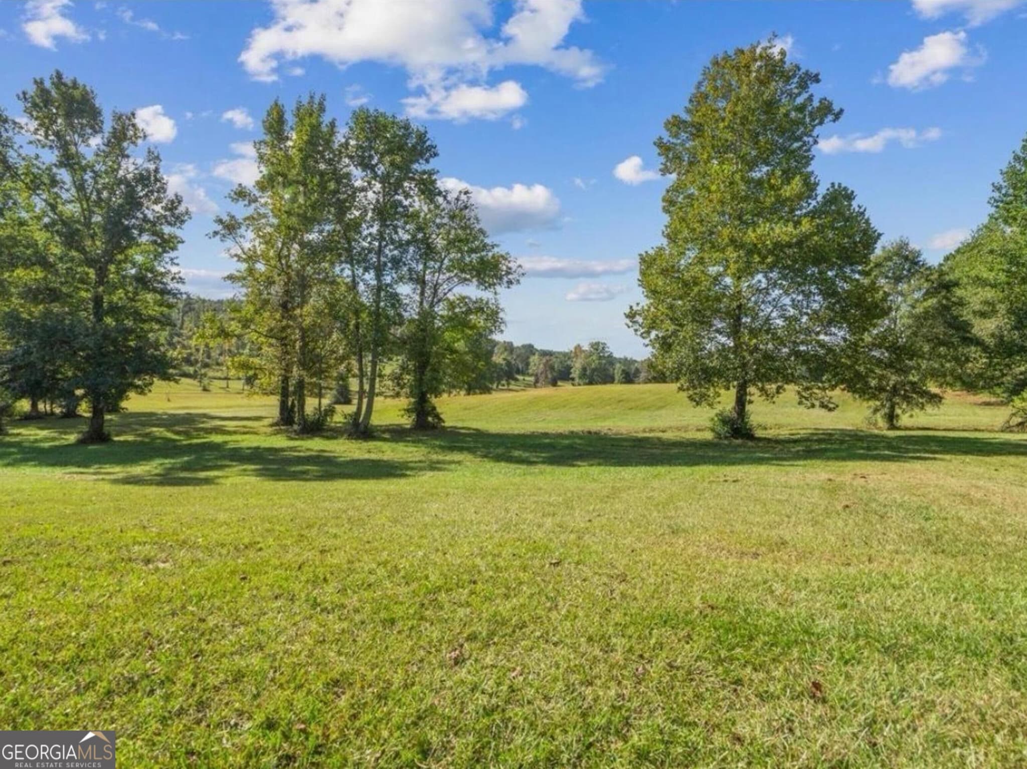 agriculture for sale at 0 Cox Road, Summerville, GA 30747 — photo 5