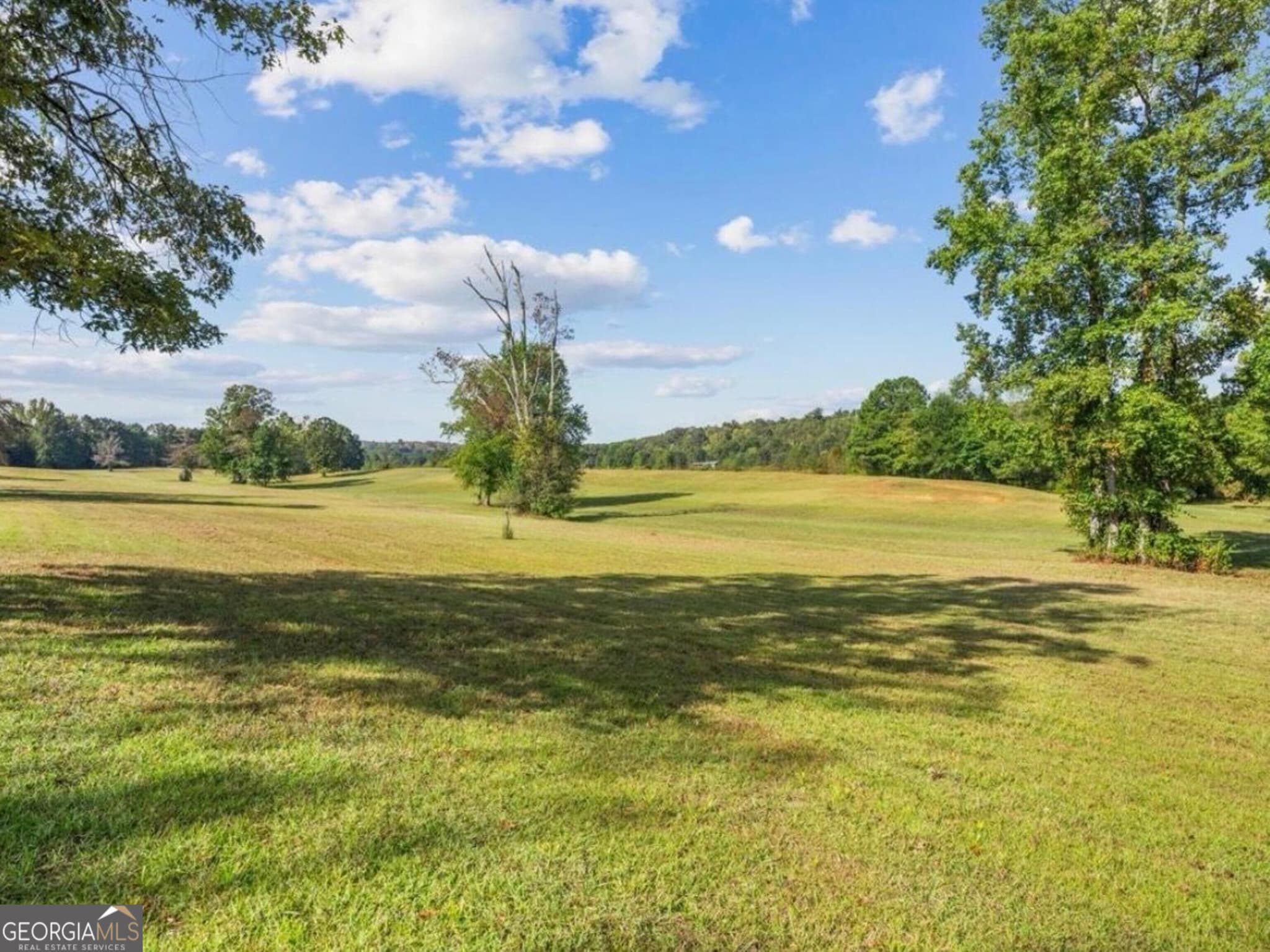 agriculture for sale at 0 Cox Road, Summerville, GA 30747 — photo 9
