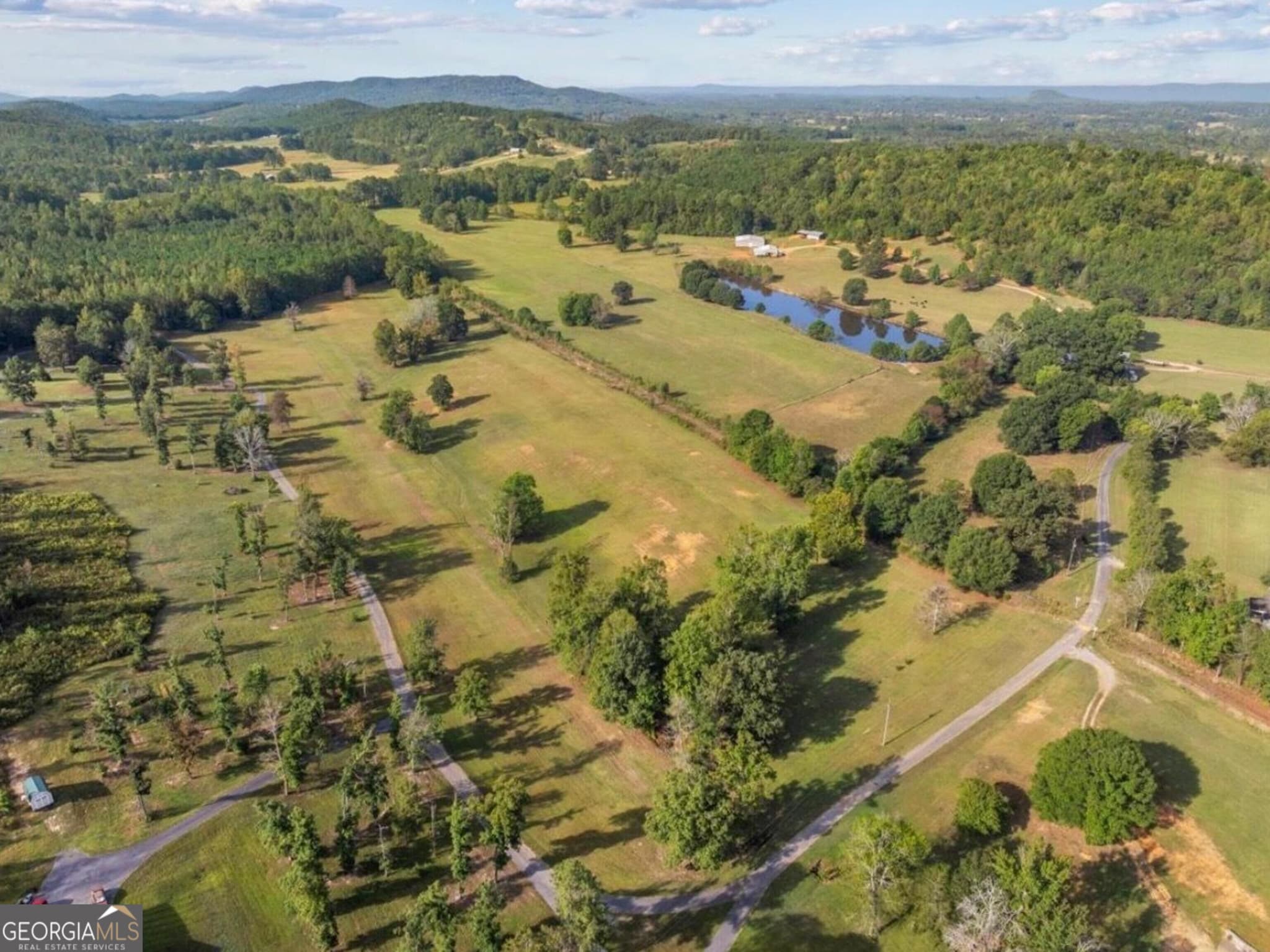 agriculture for sale at 0 Cox Road, Summerville, GA 30747 — photo 10