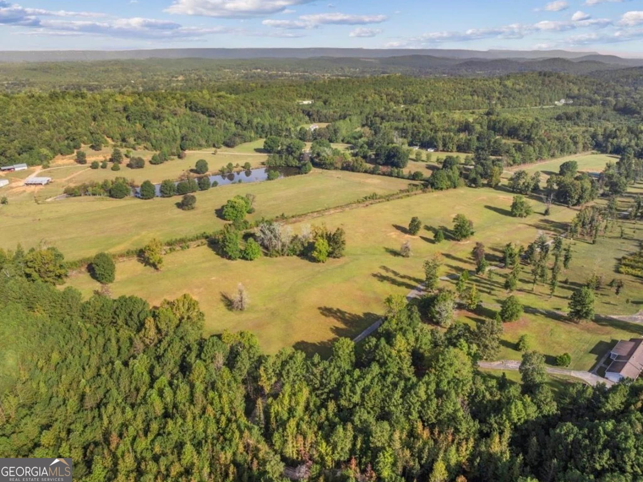 agriculture for sale at 0 Cox Road, Summerville, GA 30747 — photo 4