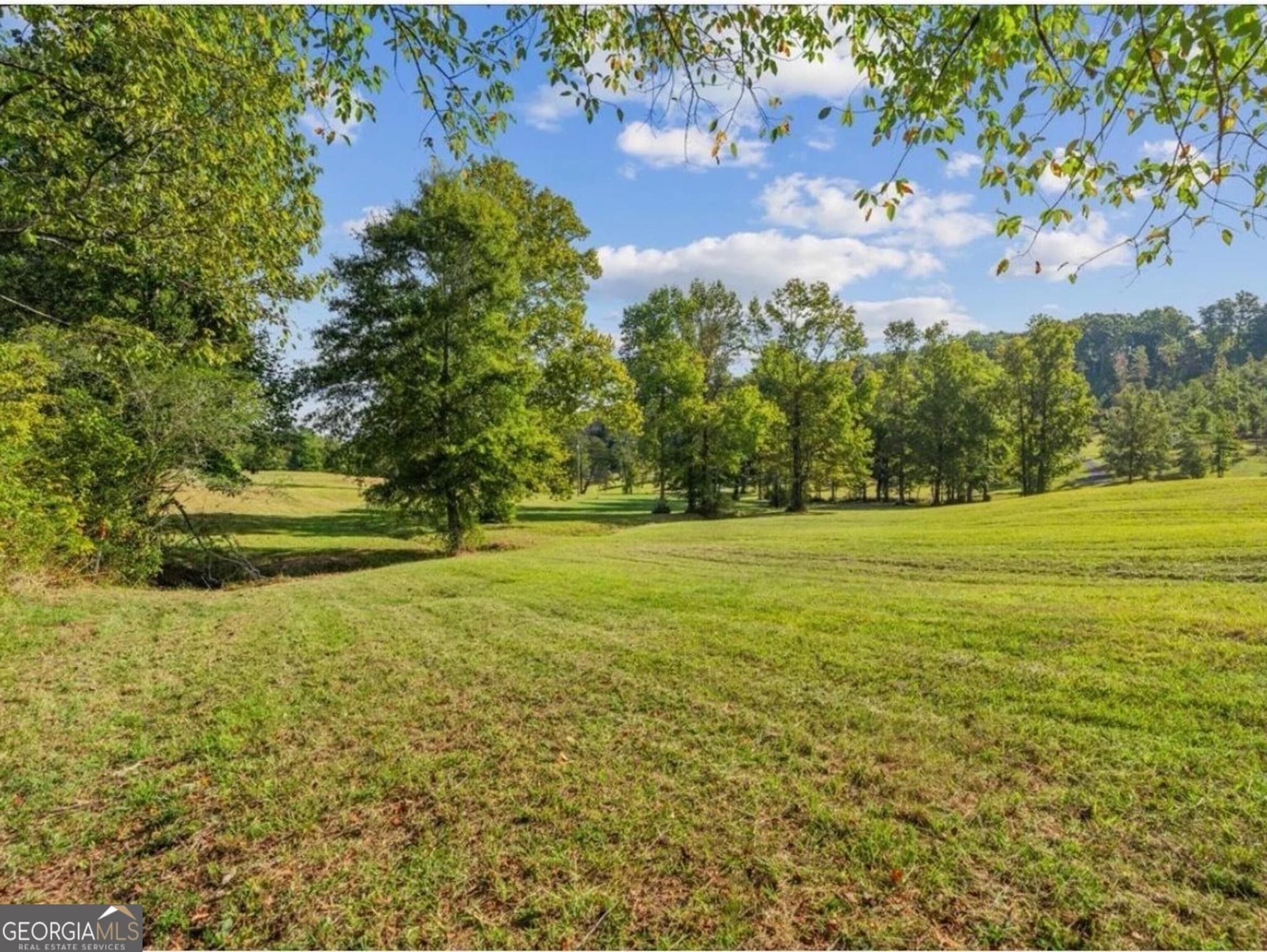 agriculture for sale at 0 Cox Road, Summerville, GA 30747 — photo 8