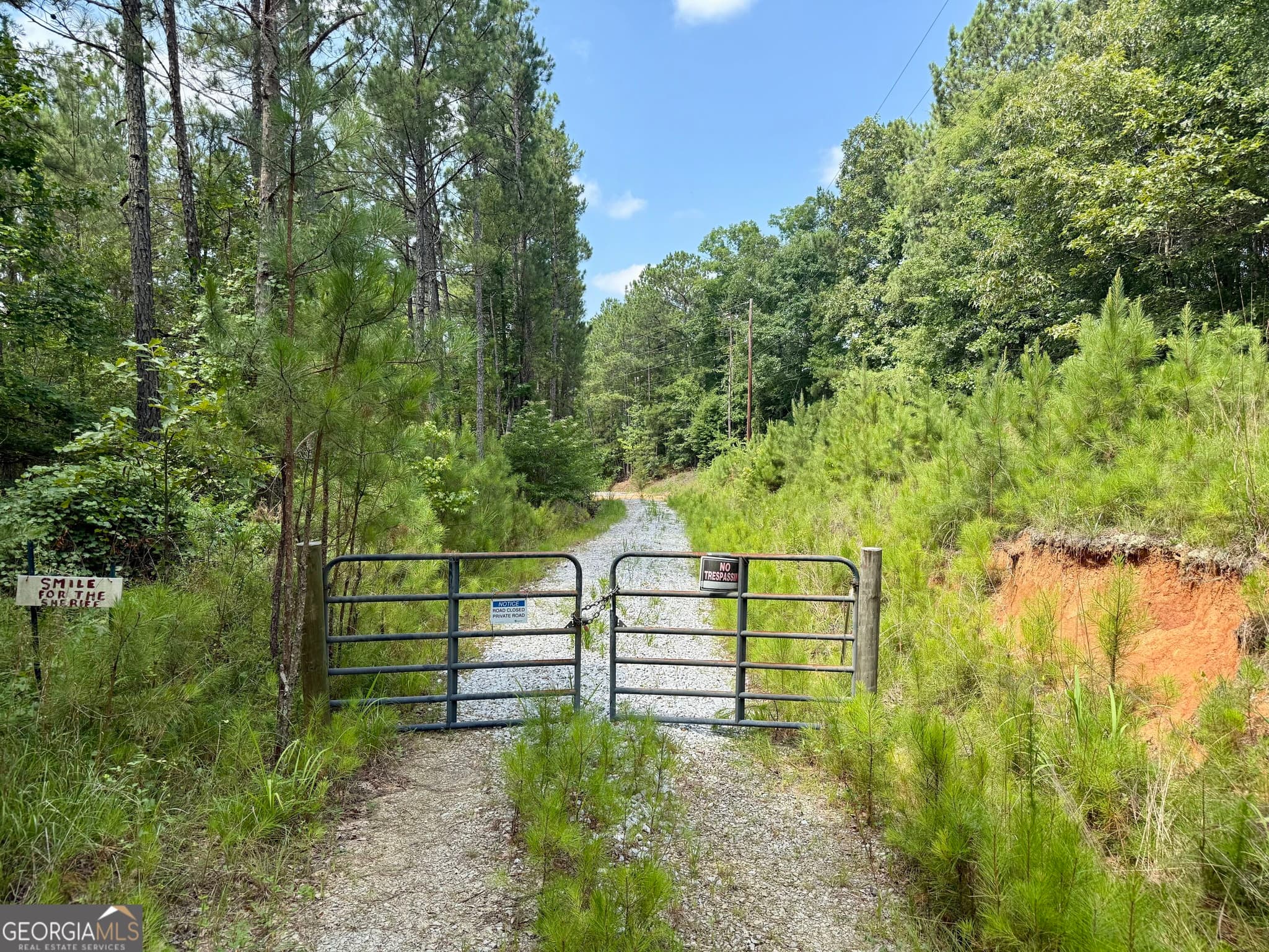 agriculture for sale at 0 N Point Peter Road, Carlton, GA 30627 — photo 2