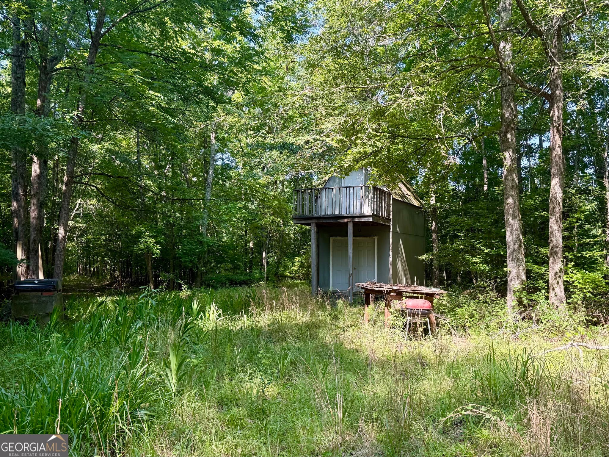 agriculture for sale at 0 N Point Peter Road, Carlton, GA 30627 — photo 3